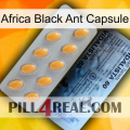 Africa Black Ant Capsule 44